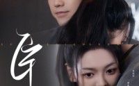 《臣服（95集）》热门短剧全集免费追