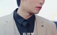 《新版：你是我的解药（100集）》高清短剧在线畅看不停