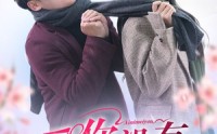 《爱你没有冷静期（32集）》独家短剧畅享无广告