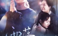 《雨落尘归》（80集）短剧高清流畅随心享看