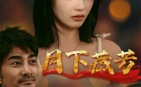 《月下藏芳（62集）》精彩短剧剧情连连看
