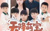 《天降萌宝爹地快接招（50集）》热门短剧完整版观看