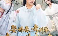 《娶娇妻，考科举，走上人生巅峰（80集）》热门短剧在线高清播放