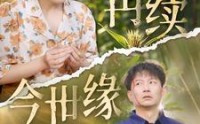 《再续今世缘（83集）》情感短剧深度解析赏