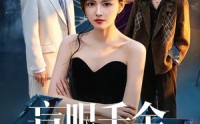 《盲眼千金之肥妻翻身（48集）》短剧全集免费在线赏