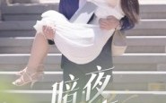 《暗夜情事（100集）》精彩短剧在线高清播放
