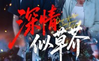 《深情似草芥（51集）》热门短剧在线畅享