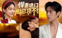 《悍妻进门励总顶不住1080P（55集）》超火短剧完整版在线追