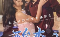 《酸杏（60集）》免费短剧高清全集速享