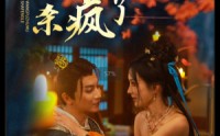 《开局被害王府主母杀疯了（58集）》剧情短剧全集尽情享受
