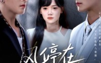 《风停在转身时（72集）》免费短剧完整版在线赏