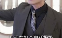 《我的危险妻子（30集）》独家短剧免费欣赏