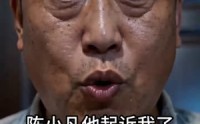 《家产易夺，手艺难偷（40集）》免费短剧全集畅看