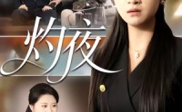 《灼夜（78集）》优质短剧免费在线追剧