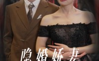 《隐婚娇妻是大佬（60集）》短剧全集在线观看无压力