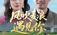 《风吹麦浪遇见你（60集）》短剧完整版免费在线赏