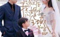 《出狱后我闪婚了全城首富（91集）》必看短剧全集收录
