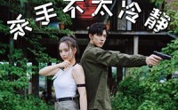 《唐人街杀手不太冷静（20集）》热门短剧一追到底
