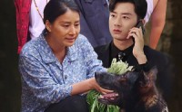 《望子归来（50集）》短剧全集一次性看完