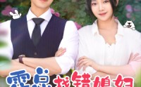 《霍总找错媳妇撩对人（68集）》流畅短剧全集畅享