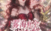 《雾海有个小蜘蛛（72集）》精彩短剧完整版在线