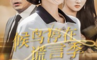 《候鸟停在谎言季（45集）》热门短剧全集免费播放
