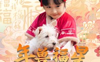《年兽福星六岁半（62集）》独家短剧全集在线追