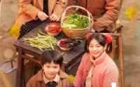《家里家外（79集）》精彩短剧高清流畅播放