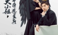 《不要惹主角短剧（80集）》高清短剧全集免费观看