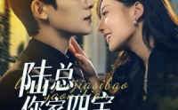 《陆总你家四宝要逆天（84集）》热门短剧全集免费追