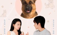 《穿越汪星来爱你（62集）》热门短剧免费在线赏