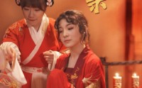 《比武招亲（61集）》全集短剧无广告观看
