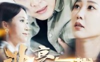 《非豪勿扰（100集）》优质短剧在线畅享