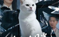 《他的白月光是只猫（69集）》免费短剧全集高清在线播
