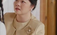 《医风渡南星（36集）》独家短剧在线观看无广告
