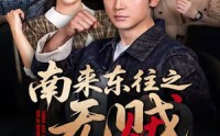 《南来东往之无贼（51集）》精彩短剧在线高清观看