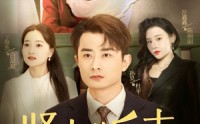 《贤夫的反击（37集）》独家短剧在线流畅观看