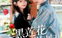 《黑莲花大小姐回归（80集）》精彩短剧在线畅享