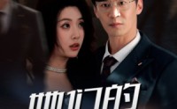 《她们的名字（29集）》流畅短剧在线播放