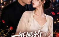 《一纸婚约赴情深（22集）》在线免费看短剧全集