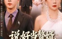 《说好当赘婿，你把岳父卷哭了（80集）》优质短剧完整免费看