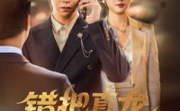 《错把真龙当废婿（60集）》高清短剧完整版播放