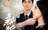 《新婚夜，妻子要和白月光洞房（30集）》精彩短剧在线连看