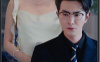 《总裁上位记（80集）》热门短剧全集无广告观看