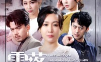 《雪落终有晴时（80集）》热门短剧免费追看