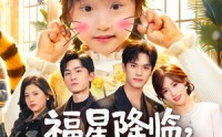 《福星降临，虎宝治愈全世界（75集）》精彩短剧免费随心播