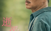 《逝爱难寻（76集）》高清短剧全集在线畅看
