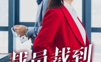 《裁员裁到大动脉（34集）》精彩短剧在线播放