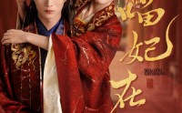 《喵妃在上（64集）》热门短剧在线畅享观看