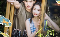 《小狗抓蝴蝶（75集）》短剧免费高清在线看